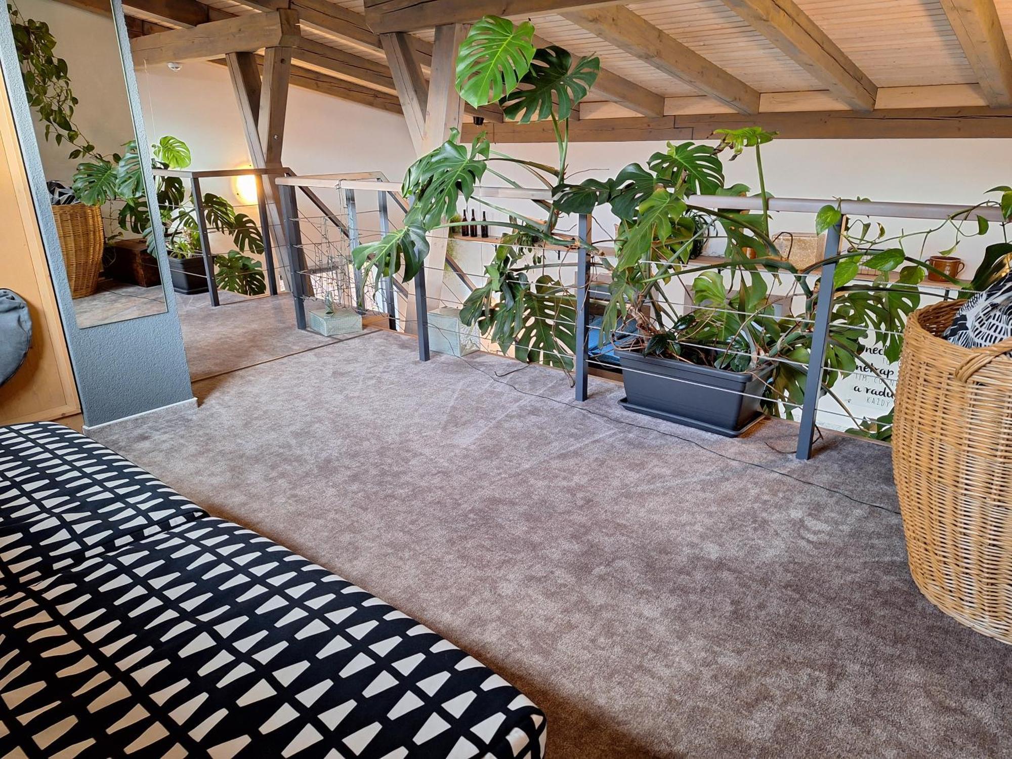 Apartmany Pod Lesem II Rodvínov Exteriör bild